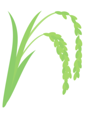 イネ（稲）