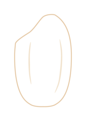 コメ（米）