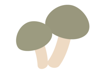 シメジ（占地）