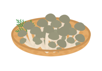 シメジ（占地）