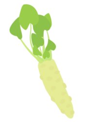 ワサビ（山葵）
