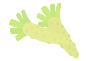 ワサビ（山葵）