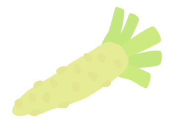 ワサビ（山葵）