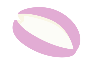 アケビ（木通）