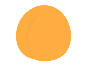 アンズ（杏）