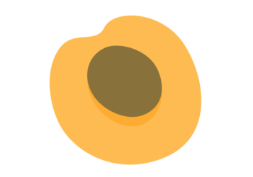 アンズ（杏）