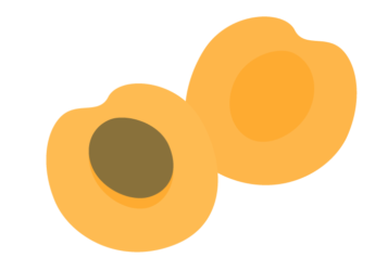 アンズ（杏）
