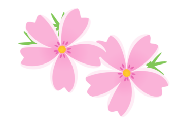 シバザクラ（芝桜）