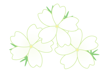 シバザクラ（芝桜）