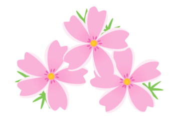 シバザクラ（芝桜）
