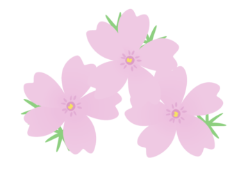 シバザクラ（芝桜）