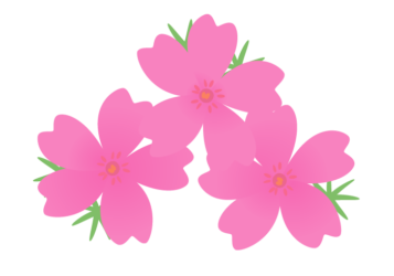 シバザクラ（芝桜）
