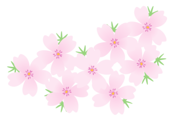 シバザクラ（芝桜）