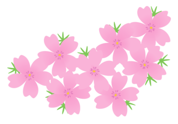 シバザクラ（芝桜）