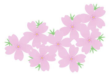 シバザクラ（芝桜）