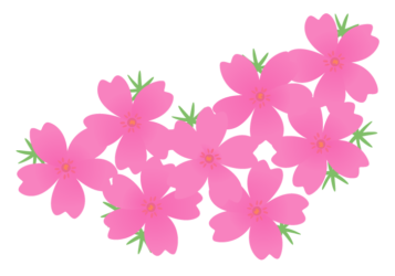 シバザクラ（芝桜）