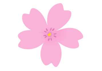 シバザクラ（芝桜）