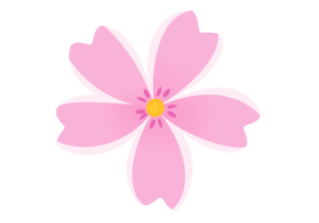 シバザクラ（芝桜）