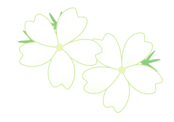 シバザクラ（芝桜）