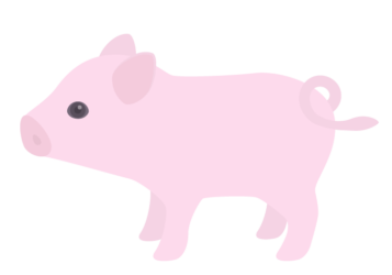 ブタ（豚）