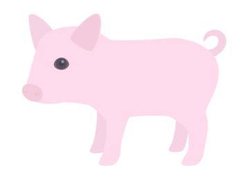 ブタ（豚）