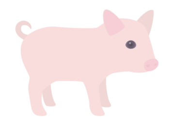 ブタ（豚）