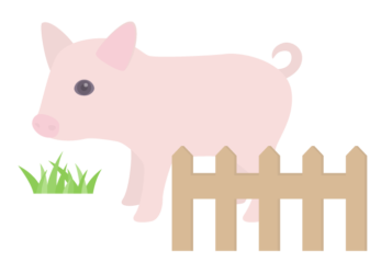 ブタ（豚）