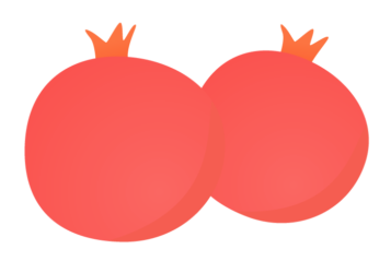 ザクロ（柘榴）