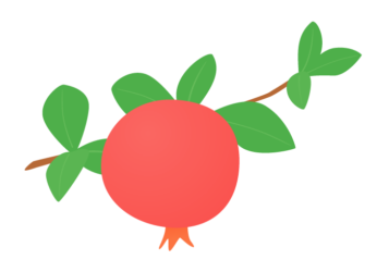 ザクロ（柘榴）