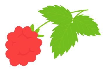 ラズベリー