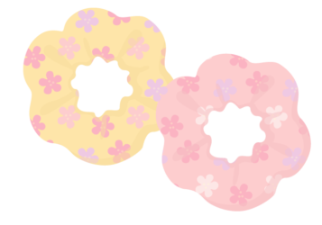 シュシュ
