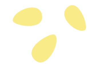 白ゴマ（白胡麻）