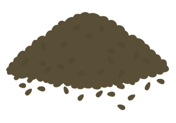 黒ゴマ（黒胡麻）
