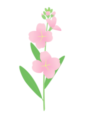 ストック