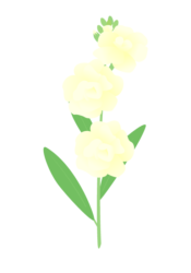 ストック