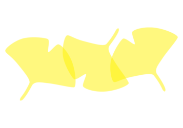 イチョウ形の分割枠（一文字フレーム）