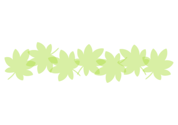 カエデ（楓）形の分割枠（一文字フレーム）