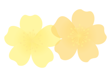 バラ（薔薇）の分割枠（一文字フレーム）
