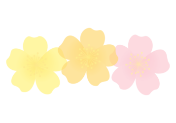 バラ（薔薇）の分割枠（一文字フレーム）