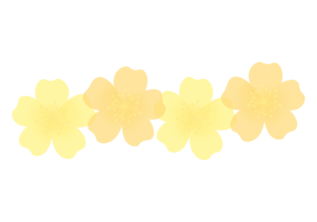 バラ（薔薇）の分割枠（一文字フレーム）