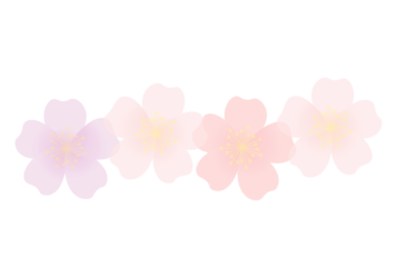 バラ（薔薇）の分割枠（一文字フレーム）