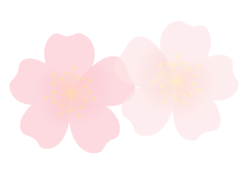 バラ（薔薇）の分割枠（一文字フレーム）