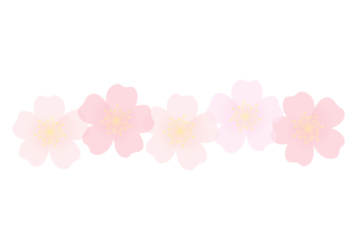 バラ（薔薇）の分割枠（一文字フレーム）