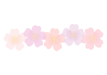 バラ（薔薇）の分割枠（一文字フレーム）