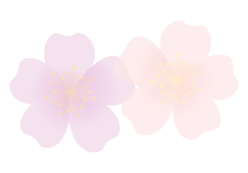 バラ（薔薇）の分割枠（一文字フレーム）