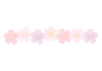 バラ（薔薇）の分割枠（一文字フレーム）