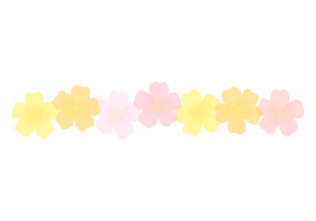バラ（薔薇）の分割枠（一文字フレーム）
