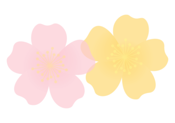 バラ（薔薇）の分割枠（一文字フレーム）