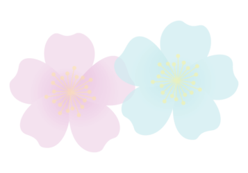 バラ（薔薇）の分割枠（一文字フレーム）