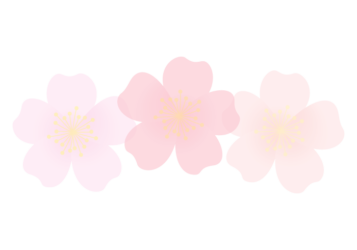 バラ（薔薇）の分割枠（一文字フレーム）